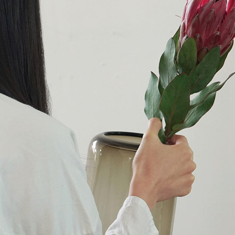 るるぶシェフダス1.2 るるぶシェフダス1.2