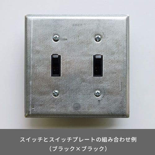 スチール2口スイッチプレート 亜鉛メッキ | AXCIS ONLINE